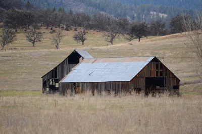 DSC_3076 (Large).JPG